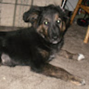 Meet your Posher, Deanna